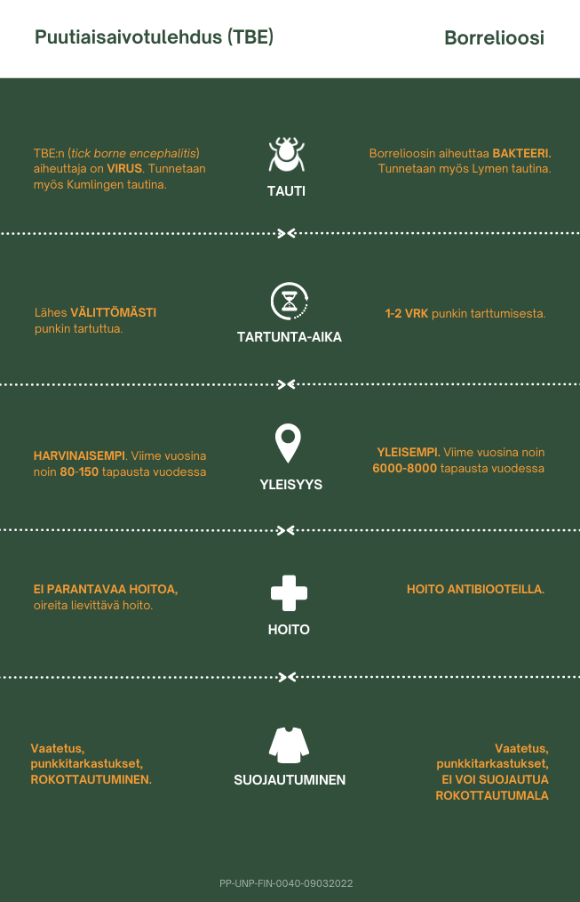 TBE:n ja borrelioosin erot